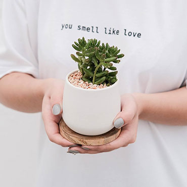 Plants